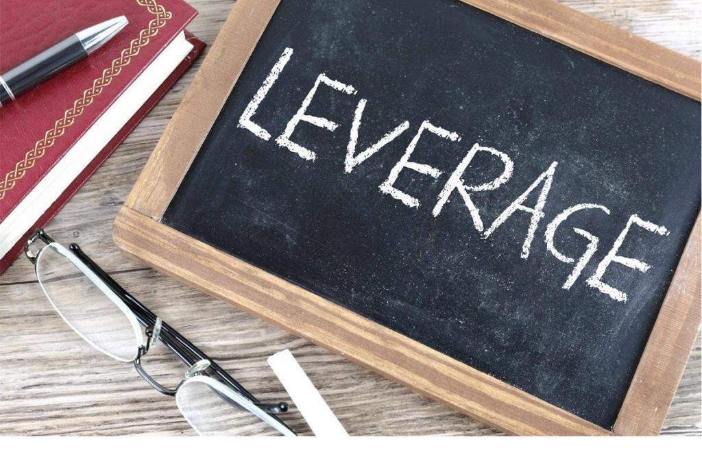 ROA Leverage 레버리지