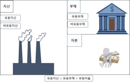 현재 비율