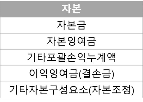 재무상태표 활용 - 자본