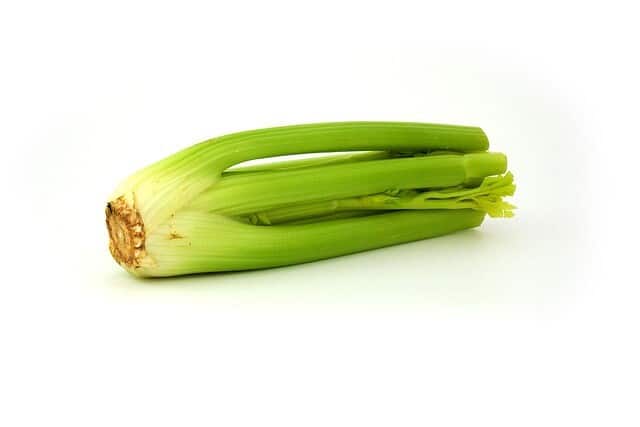 샐러리(셀러리-celery)