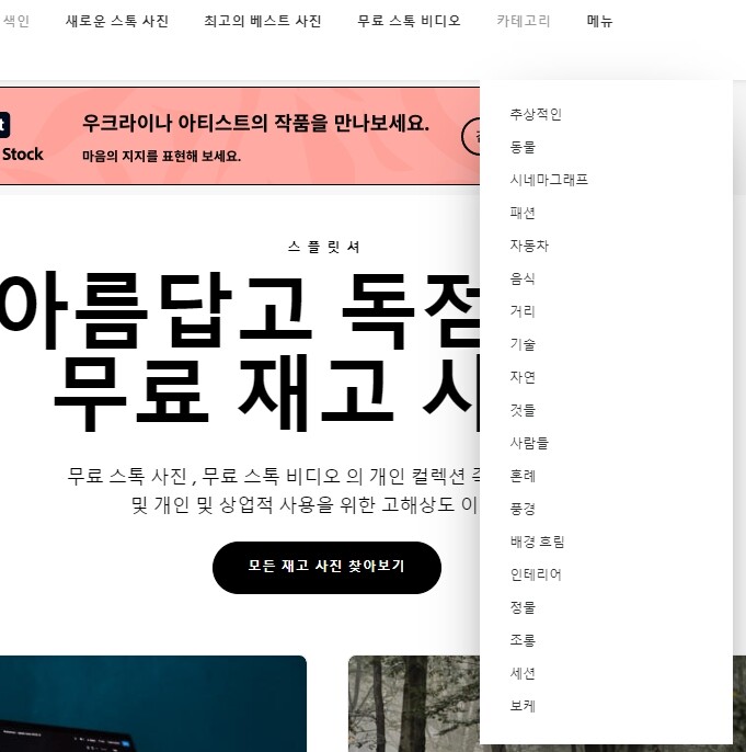 스플릿샤이어 카테고리