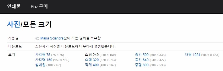 플리커 bread 검색-소유자가 사진을 다운로드 하지 못하게 설정