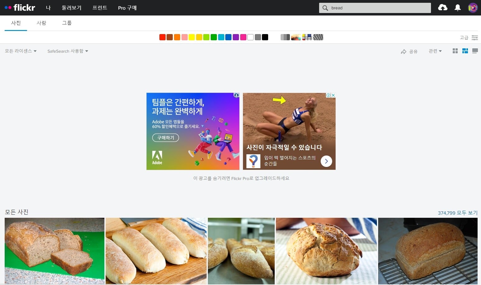 플리커 bread 검색