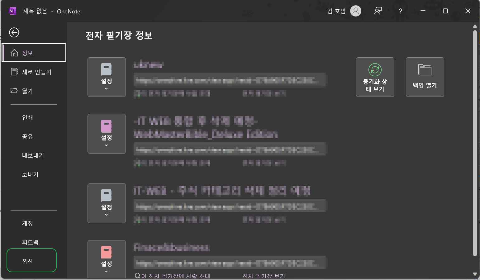 원노트 옵션설정-파일 옵션탭2