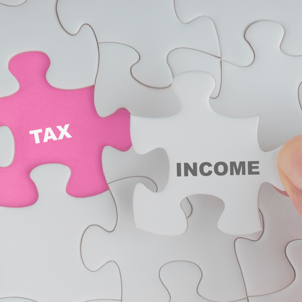 세무 소득(Tax Income)