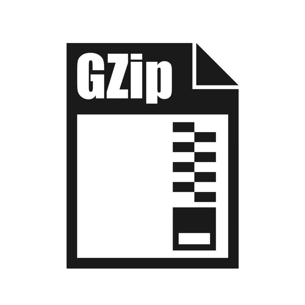 Gzip 파일