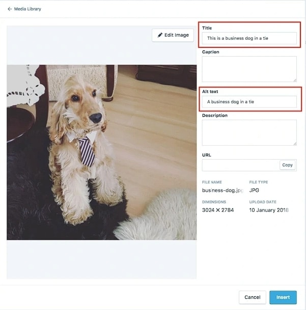 [WP] 워드프레스 이미지 대체 텍스트와 제목 차이점 & 캡션이란?