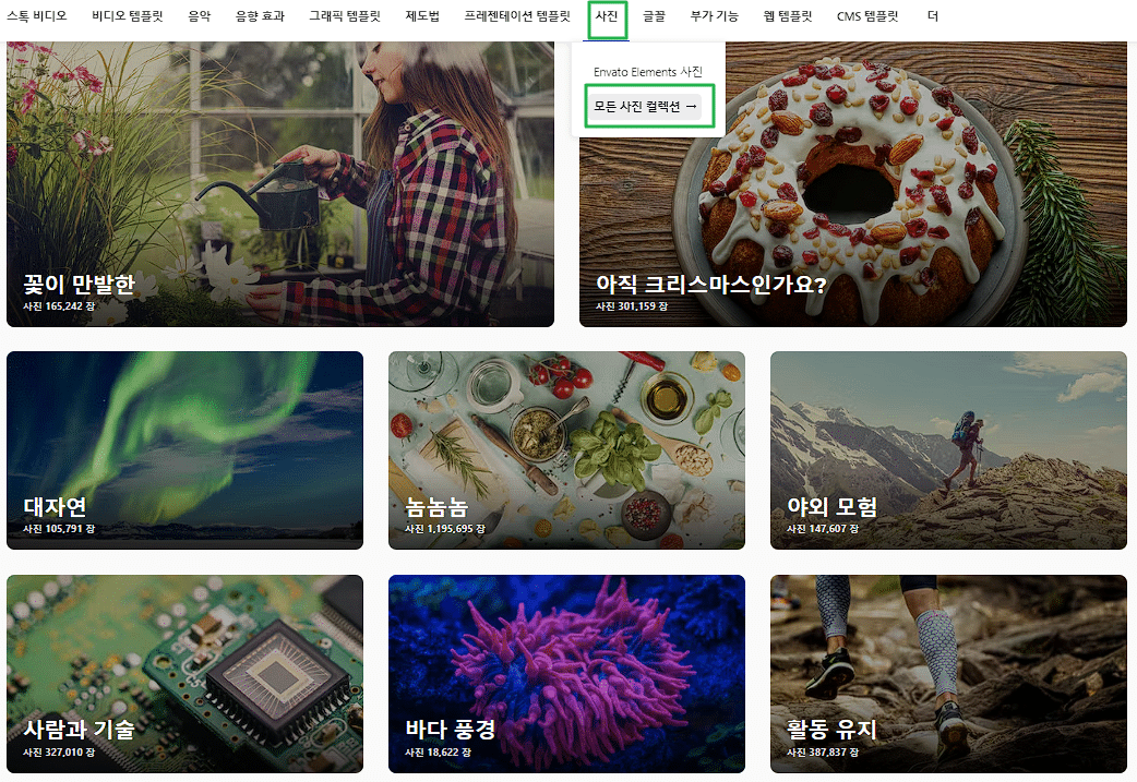 엔바토 엘리먼트란? $16.5 정기구독으로 2천여개 워드프레스 테마와 플러그인 사용