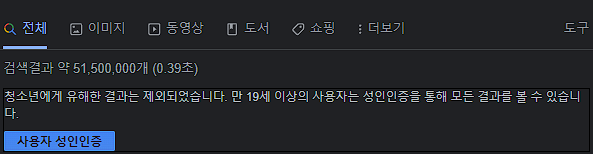 구글 검색-구글 성인 인증 요청 결과 페이지