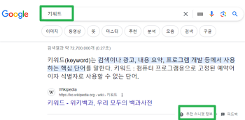 구글 추천 스니펫(검색어-키워드)