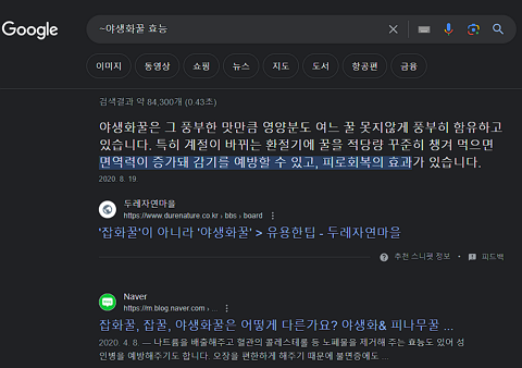 구글 검색 방법-비슷한 단어 물결~ 사용하기