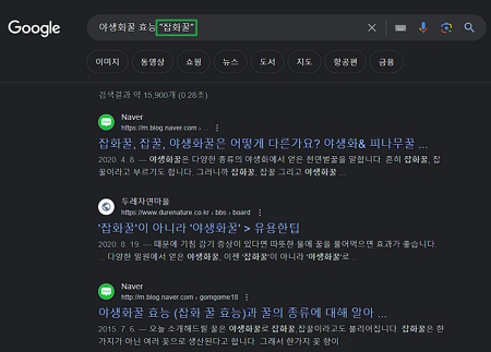 구글링 검색-쌍따옴표 활용 방법
