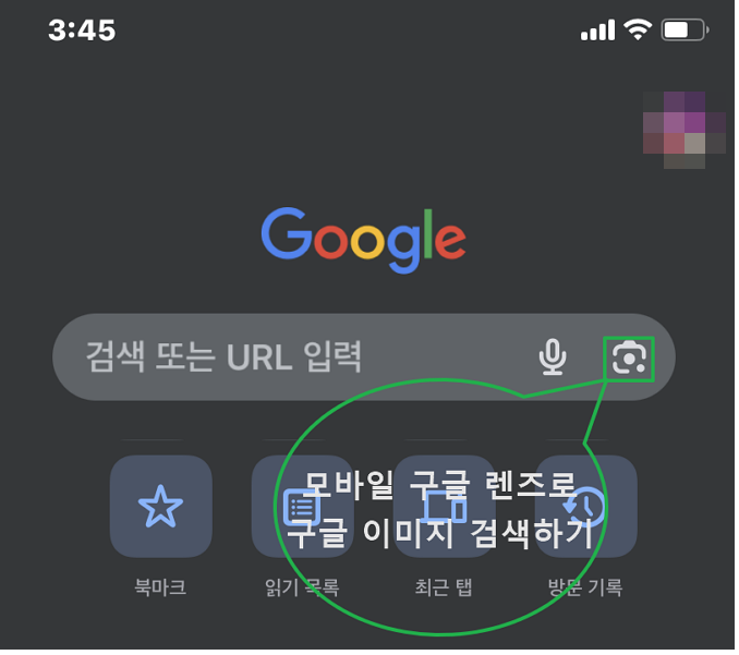 모바일에서 구글 렌즈를 이용한 이미지 검색(구글 메인)