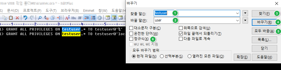 EditPlus 문자열 바꾸기
