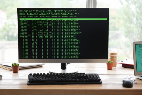 리눅스 TOP 명령어: 명령줄 인터페이스(CLI-Command-Line Interface)