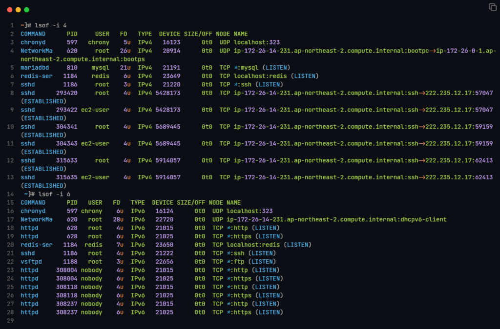 리눅스 lsof 명령어_IPv4 IPV6 네트워크 소캣 확인