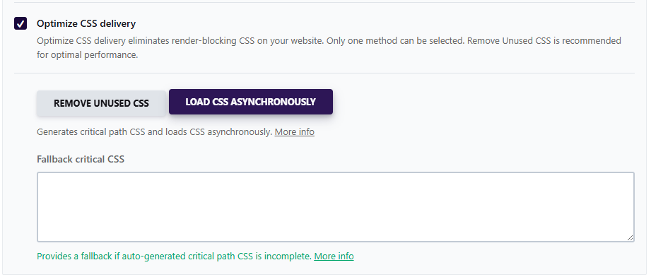 WP Rocket 파일 최적화 3 - CSS 전달 최적화_CSS 비동기 로드 [영어]