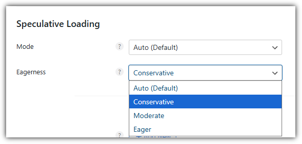 Perfmatters 사전 로딩 - 추측 로딩_모드 선택 후 4가지 설정
