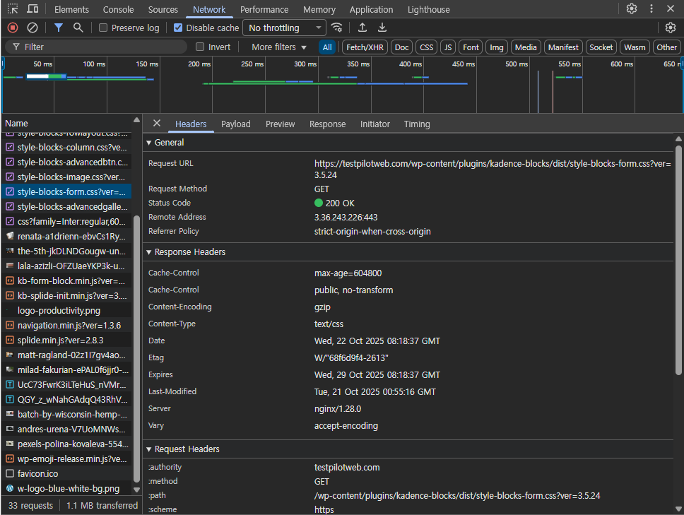 웹사이트 성능 테스트 - 크롬 개발자 도구 네트워크_헤더 탭 1[영어]