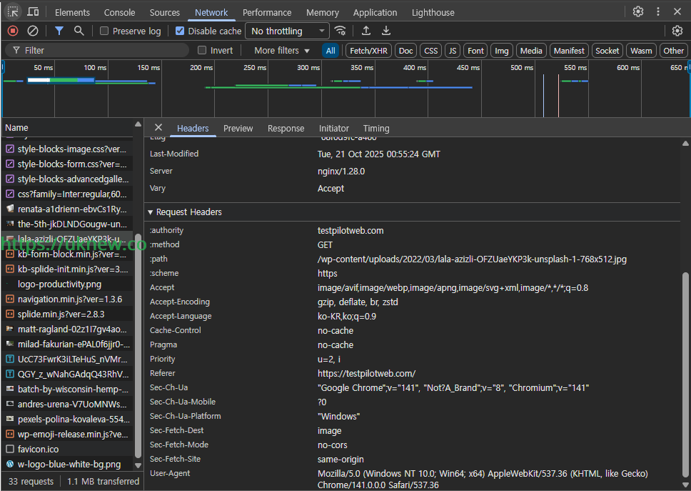 웹사이트 성능 테스트 - 크롬 개발자 도구 네트워크_헤더 탭 2[영어]