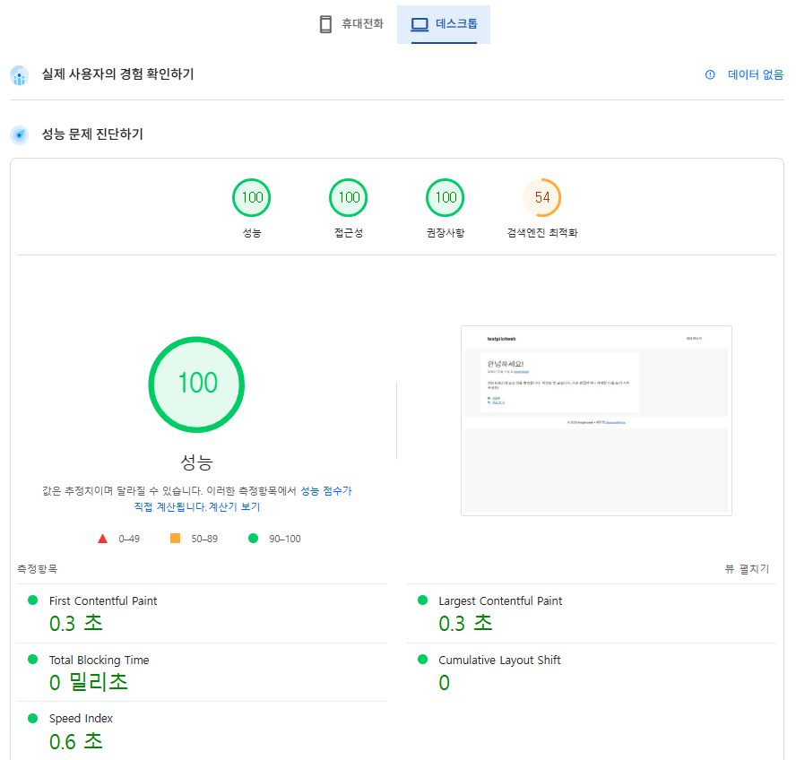 웹사이트 속도 측정-구글 페이지스피드(데스크탑_testpilotweb)